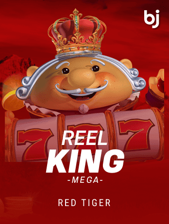 Reel King Megapng icon